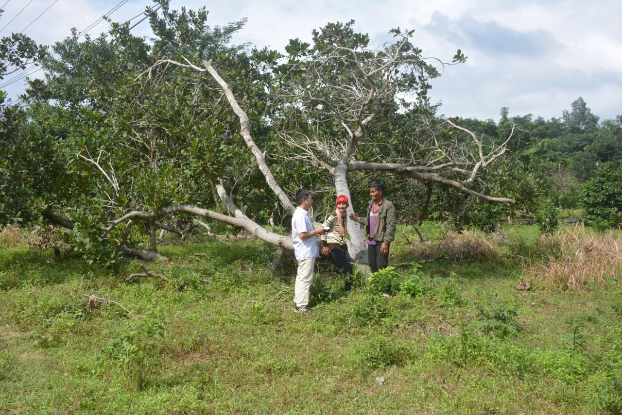 Cần được giải quyết dứt điểm